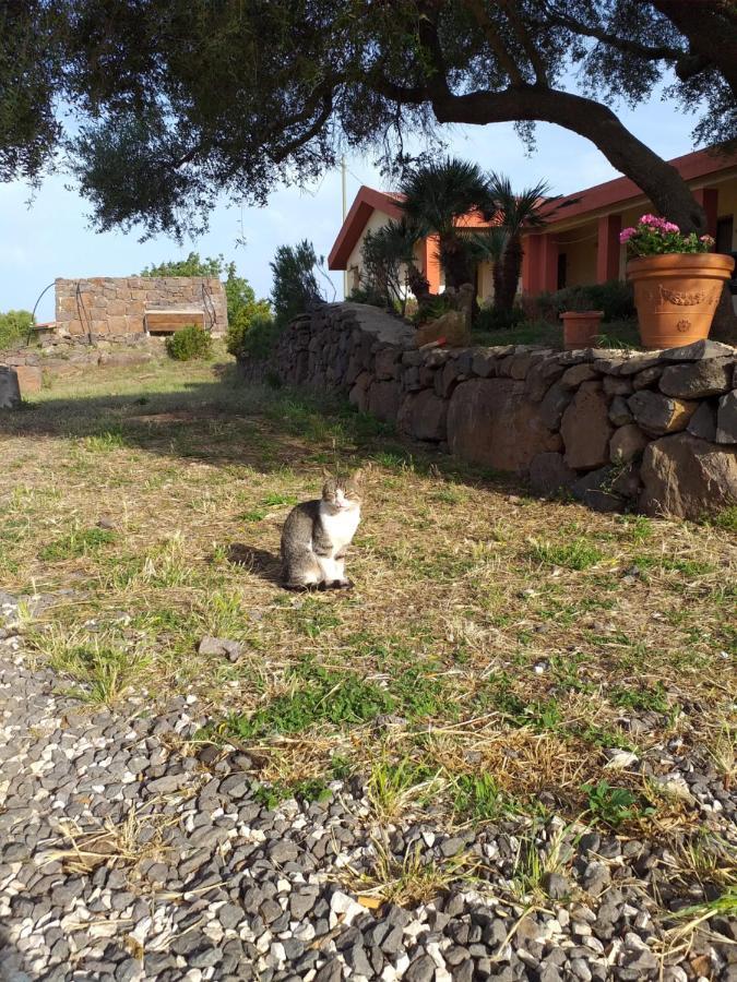 דורגלי Agriturismo Conca' E Janas מראה חיצוני תמונה