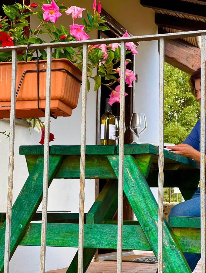 דורגלי Agriturismo Conca' E Janas מראה חיצוני תמונה