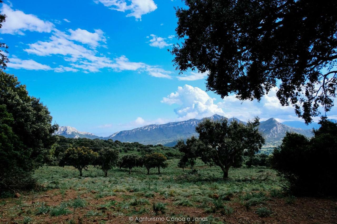 דורגלי Agriturismo Conca' E Janas מראה חיצוני תמונה
